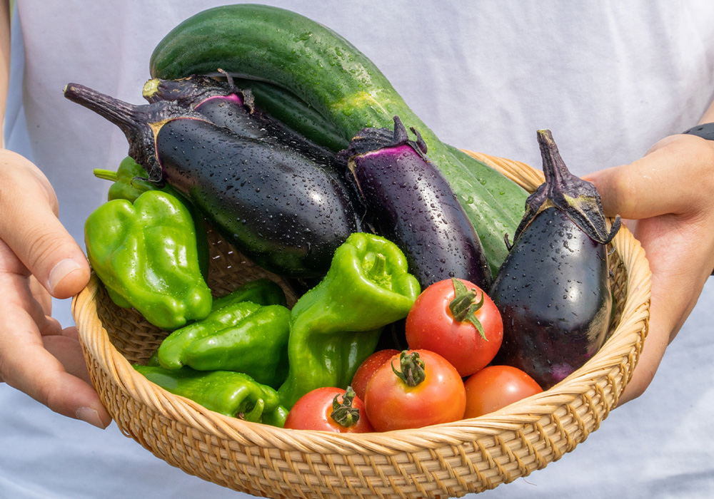 ようこそ、MEINA株式会社のホームページへ！